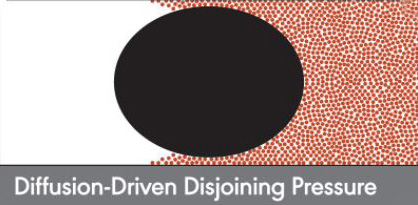 Diffusion-Driven Disjoining Pressure of Pig Sweep diagram